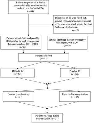 Infective Endocarditis: Clinical Characteristics and Echocardiographic Findings